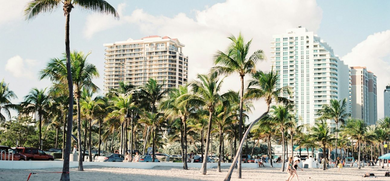palm trees near buildings